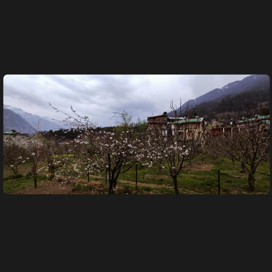 Yolo Backpackers - Manali 호스텔 외부 사진