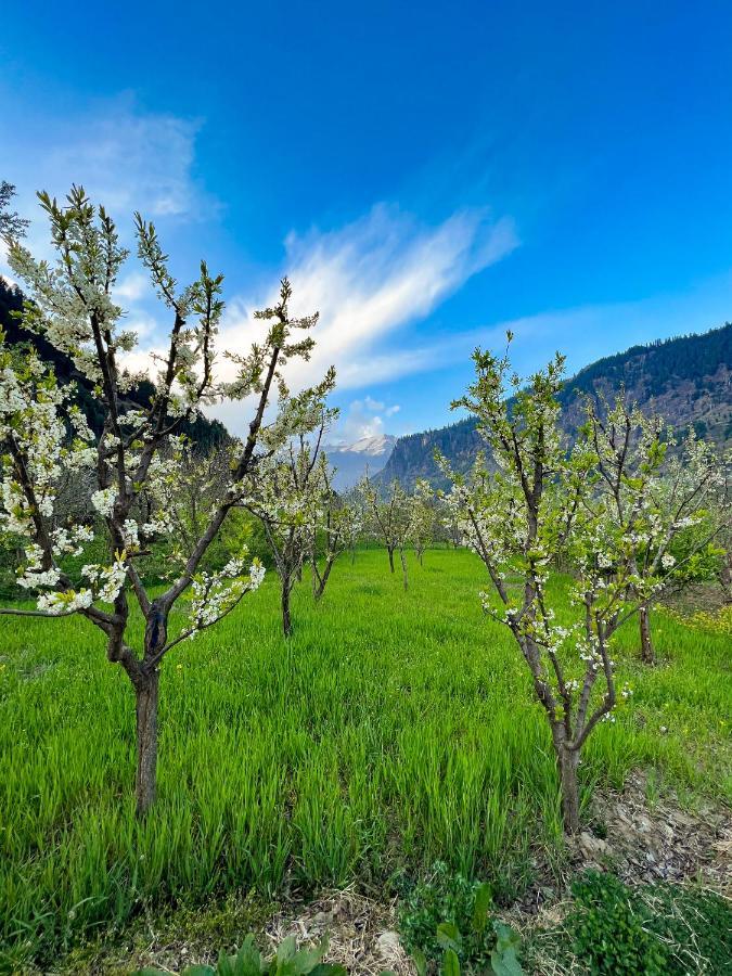 Yolo Backpackers - Manali 호스텔 외부 사진