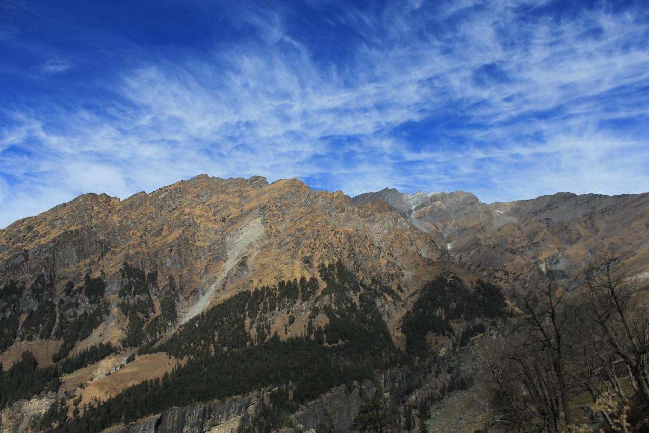 Yolo Backpackers - Manali 호스텔 외부 사진